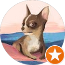 Joanne Bell Avatar